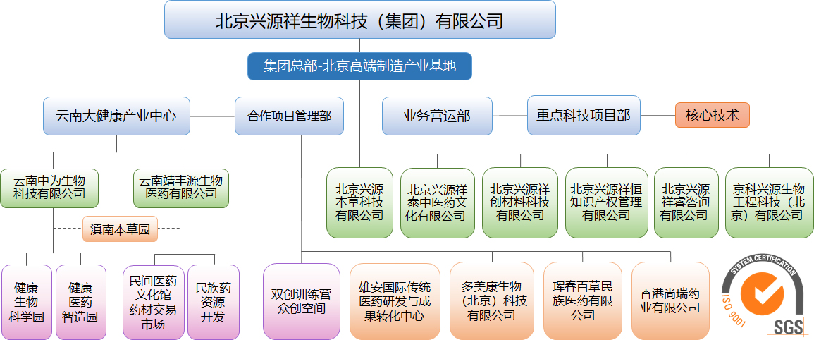北京兴源联合医药科技有限公司组织架构